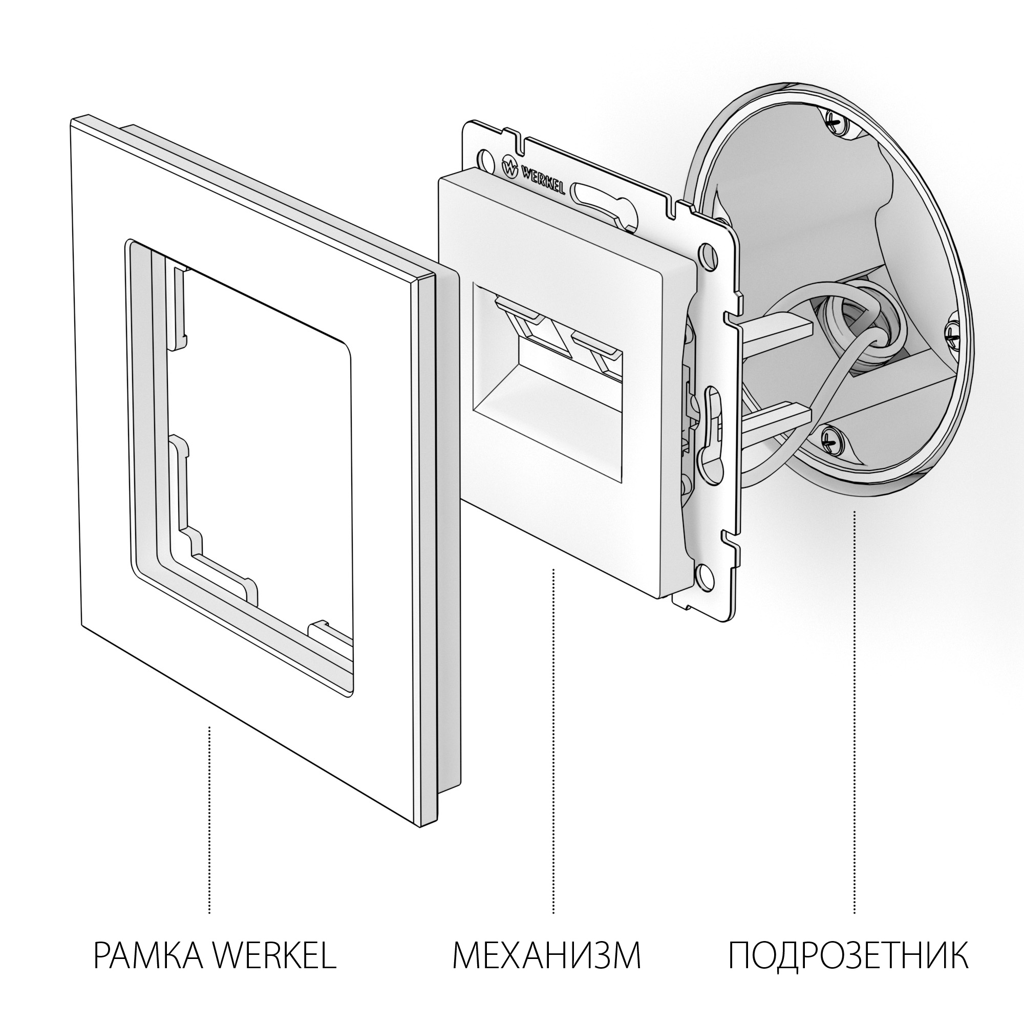 Розетка Werkel двойная Ethernet RJ-45 (слоновая кость) W1181103